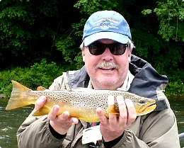 Delaware River brown trout