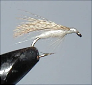 Delaware River fly fishing.
