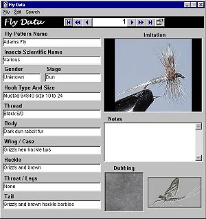 Delaware River Insects